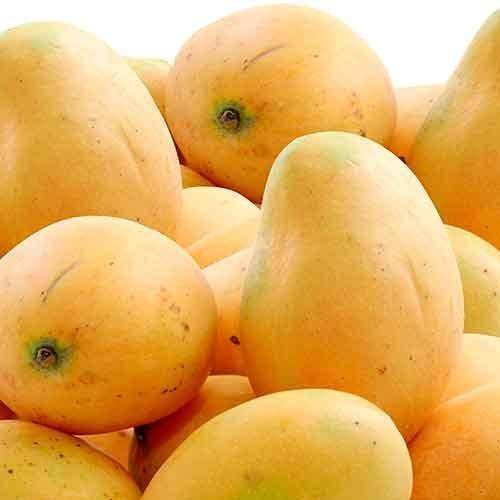 Buy banginapalli mangoes online in Hyderabad - Mangoesbasket