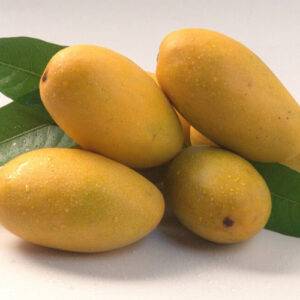 Buy dasheri mangoes online in Hyderabad - Mangoesbasket