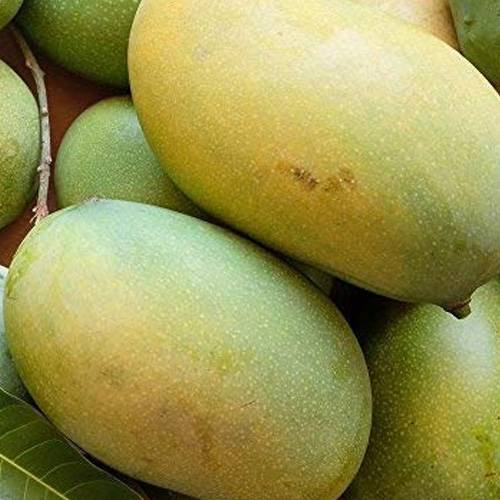 Buy mallika mangoes online in Hyderabad - Mangoesbasket
