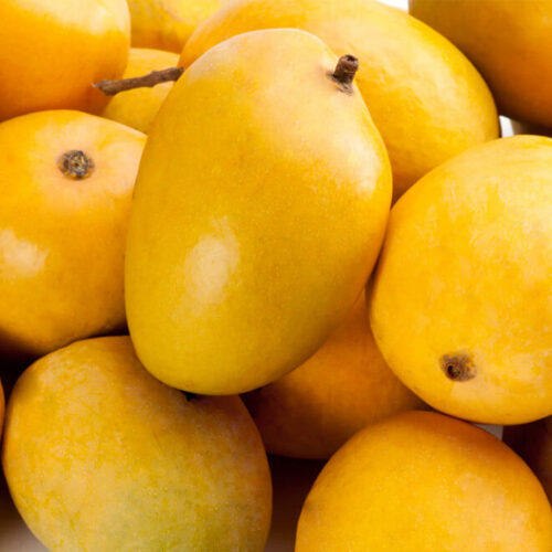 Buy alphonso mangoes online in Hyderabad - Mangoesbasket