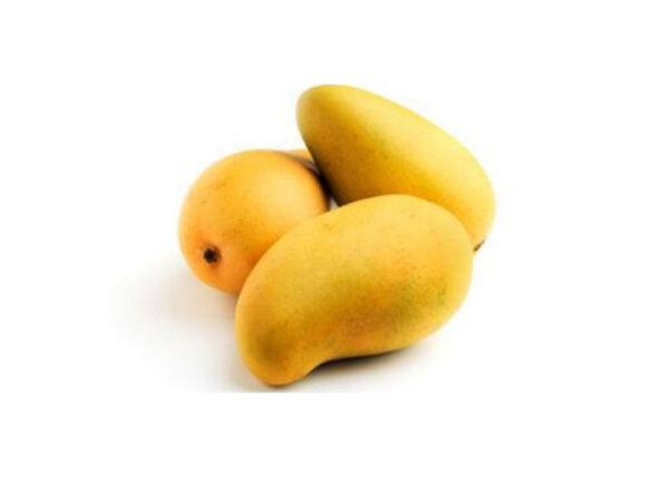 Buy malgova mangoes online in Hyderabad - Mangoesbasket